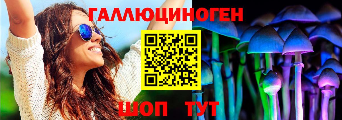 Псилоцибиновые грибы GOLDEN TEACHER Черняховск