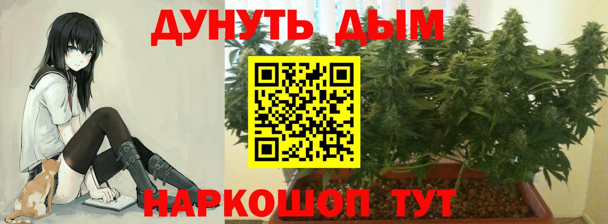 Черняховск  Шишки марихуана семена  Бошки Шишки тримм  Марихуана план  Вход с VPN 